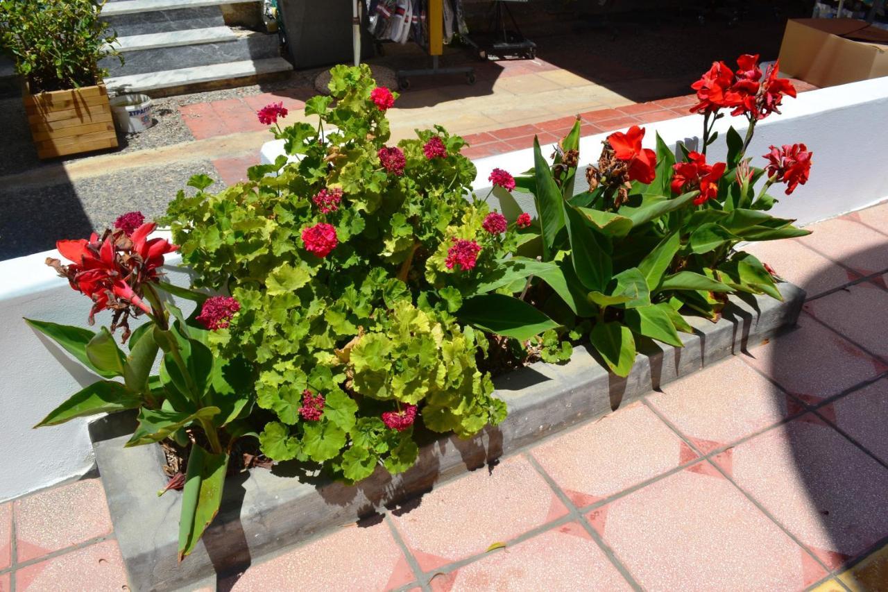 Hotel Arant Mastichari  Ngoại thất bức ảnh